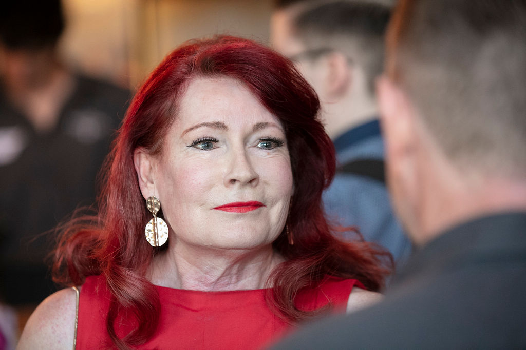 Telelink - Rainbow Hub Partnership